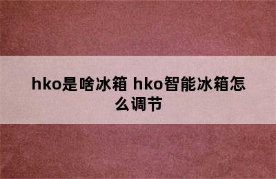 hko是啥冰箱 hko智能冰箱怎么调节